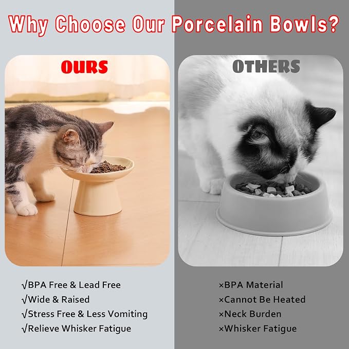Wide Shallow 6.1" Raised Cat Bowls, Ceramic Elevated Food Plate for Flat Faced Cats and Small Dogs, Porcelain Feeder Bowl, Stress Free, Protect Cat’s Spine, Cream - Image 5