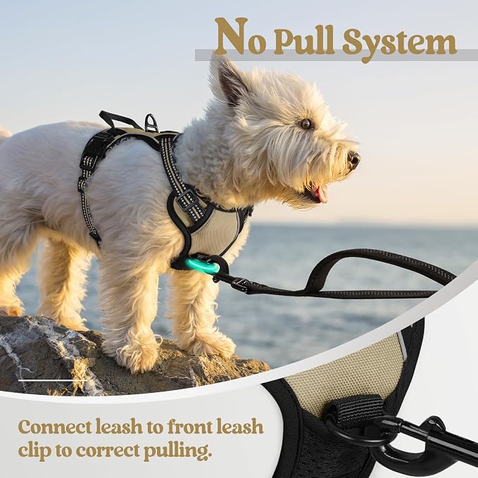 rabbitgoo Dog Harness No Pull with 2 Leash Clips, Adjustable Soft Padded, Reflective Oxford No Choke Pet Vest with Easy Control Handle for Puppy, Beige, XS | No Choke with Handle, Adjustable Soft Padded, Reflective, Easy Control for Walking, Beige, X-S... - Image 5