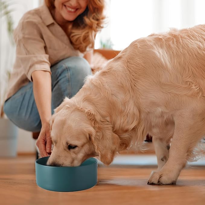 Ceramic Set of 2 Dog Bowls - Classic Dogs Food & Water Bowl for Small and Medium Breed, Heavy-Duty Non-Slip Dog Dishes, Food Grade Pet Bowl, Dishwasher & Microwave Safe (6'', 2*30OZ, Green) - Image 7