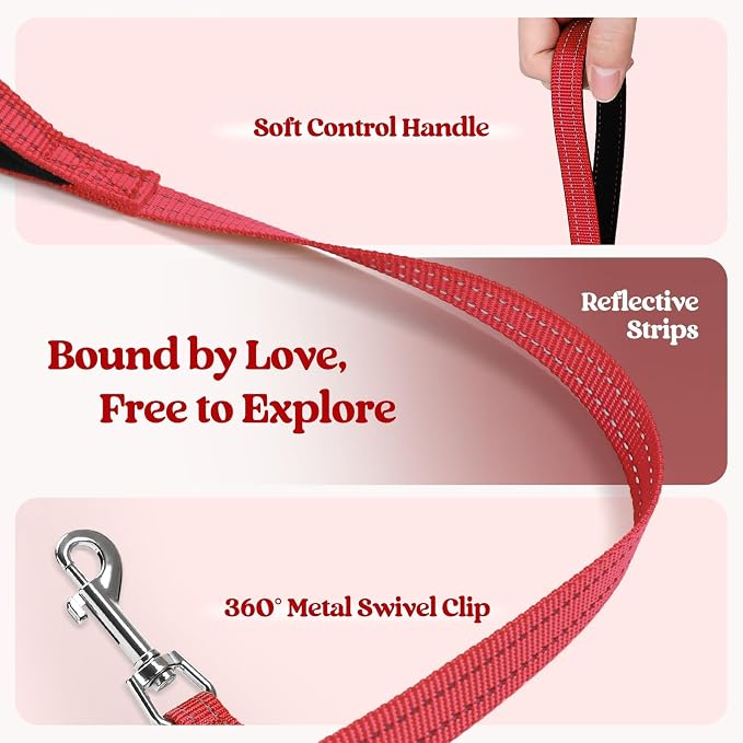 rabbitgoo Dog Harness Medium Sized and Leash Set, Step-in Puppy Pet Vest | Light, Soft, Breathable Air Mesh, Easy on and Remove with Hook & Loop, Secure Reflective for Walking, Red XXL - Image 6