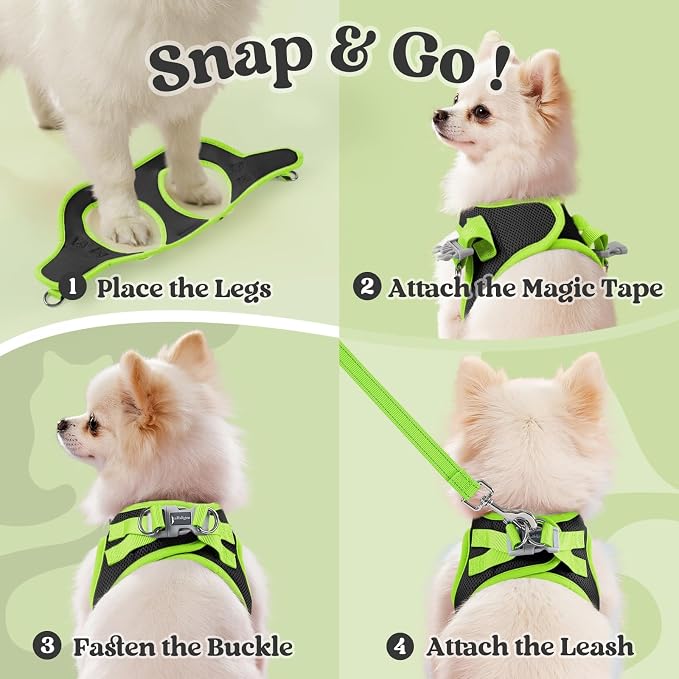 rabbitgoo Dog Harness Small Sized and Leash Set, Step in Soft Vest | Breathable Mesh, Easy Wear with Hook & Loop, Light and Reflective for Walking, Multi-colored, Black & Green, M - Image 2