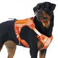 AUROTH Tactical Dog Harness for Large Dogs, Heavy Duty No Pull Pet Vest | Easy Control Handle, Adjustable, Reflective, Military K9, for Doberman Husky Walking Hunting Hiking, Bohemia Orange, X-Large by AurothPets
