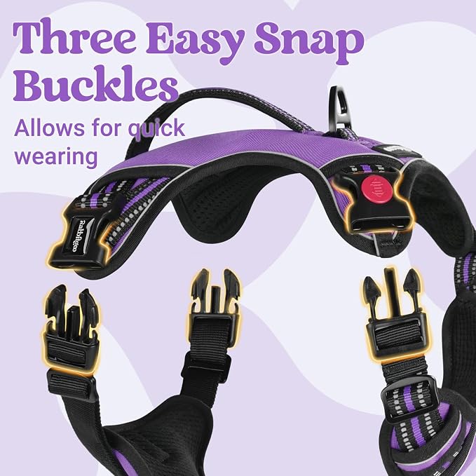 rabbitgoo Large Dog Harness, Easy Wear with 3 Buckles and Lift Handle | No Pull with Front Clip for Walking, Adjustable Soft Padded, Reflective, Easy Control, Purple, Small - Image 4