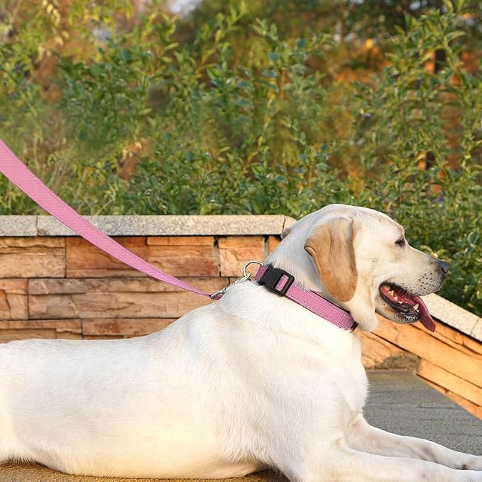 6 FT Basic Dog Leash for Large Dogs,Pink | Padded Handle,Metal D-Ring,Heavy Duty Nylon Webbing, for Walking & Training - Image 3
