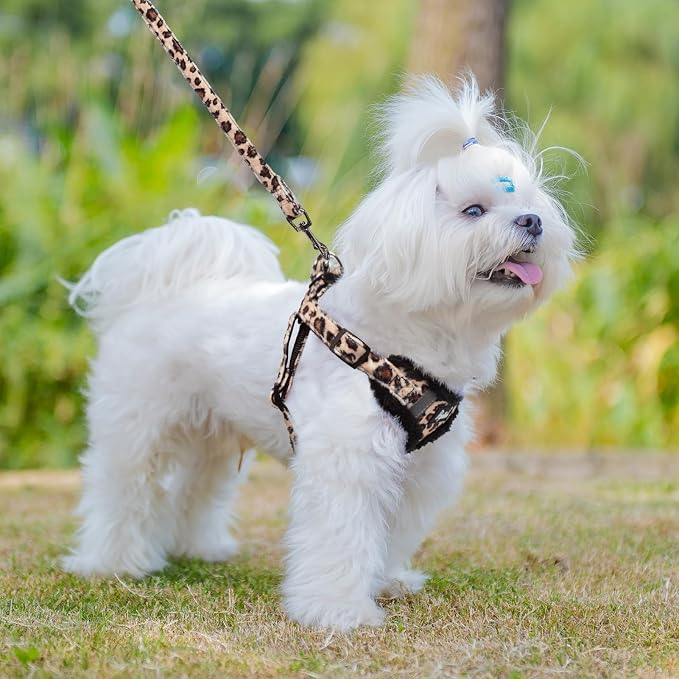 PUPTECK Dog Harness and Leash Set Small Sized, Step in No Pull Adjustable Puppy Cat Harness Reflective Pet Vest - Image 5