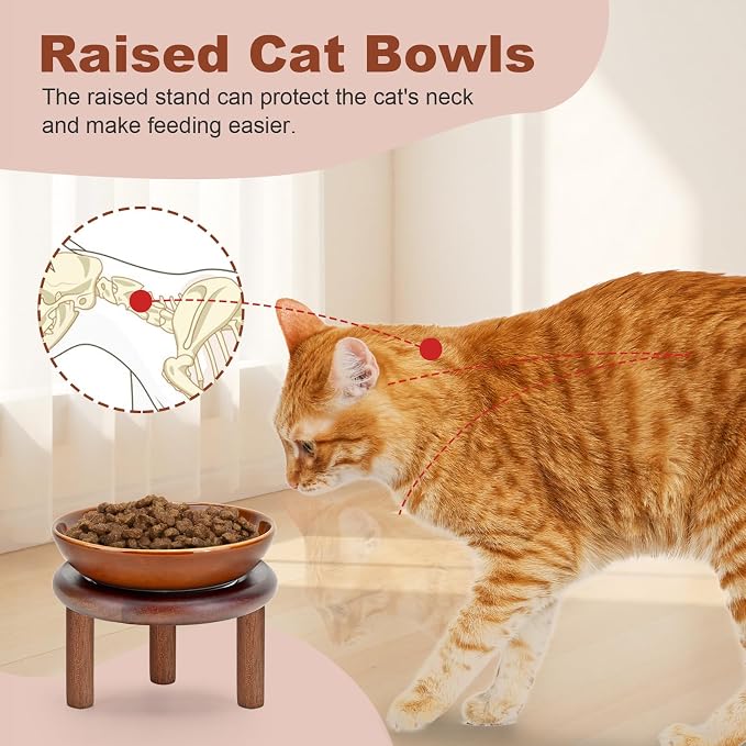 SPUNKYJUNKY Extra Wide Elevated Ceramic Cat Bowl with Acacia Wood Stand Whisker Friendly (Cat Paw Pattern, 2 Pack, Brown) - Image 3