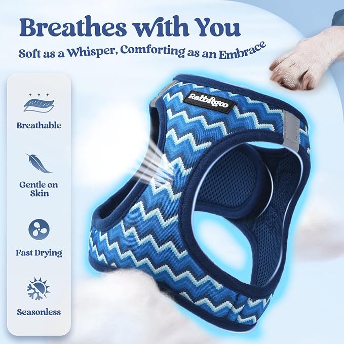 rabbitgoo Dog Harness Small Sized and Leash Set, Step-in Puppy Pet Vest | Light, Soft, Breathable Air Mesh, Easy on and Remove with Hook & Loop, Secure Reflective for Walking, Blue Zigzag XXS - Image 4