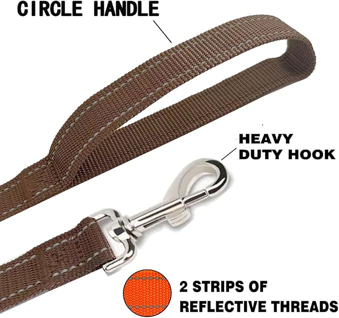 Reflective Dog Leash 4Ft /5 Foot /6 Feet Long, 1 Inch Wide, for Small and Medium Dogs - Image 4