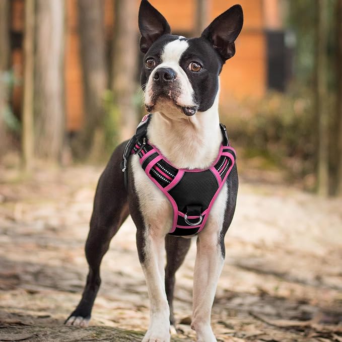 rabbitgoo Dog Harness Small Sized, No Pull 3 Buckles Easy On & Off | Soft Padded, Walking with Control Handle, Adjustable and Reflective, Black & Pink, Small - Image 8