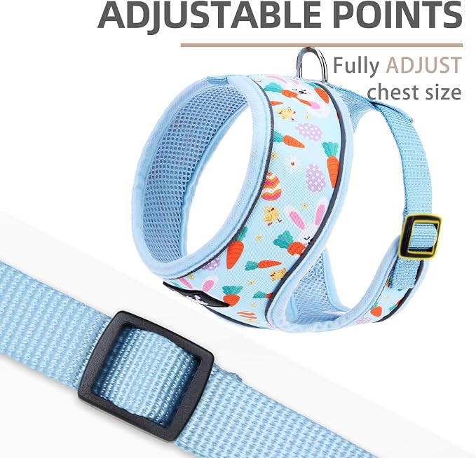 PUPTECK Small Dog Harness and Leash Set No Pull for XS XXS Sized Dogs Puppy | Escape Proof No Choke Pet Cat Adjustable Soft Padded Walking Vest - Image 3