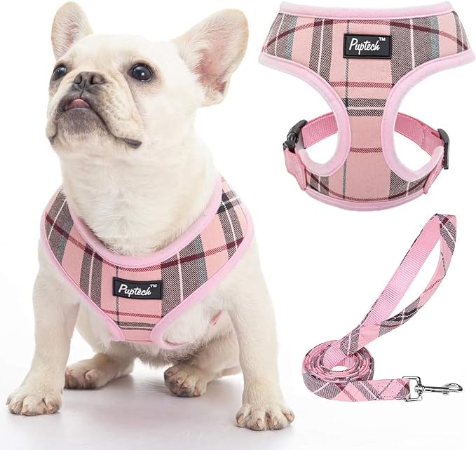 PUPTECK Small Dog Harness and Leash Set No Pull for XS XXS Sized Dogs Puppy | Escape Proof No Choke Pet Cat Adjustable Soft Padded Walking Vest by PUPTECK