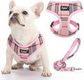 PUPTECK Small Dog Harness and Leash Set No Pull for XS XXS Sized Dogs Puppy | Escape Proof No Choke Pet Cat Adjustable Soft Padded Walking Vest by PUPTECK
