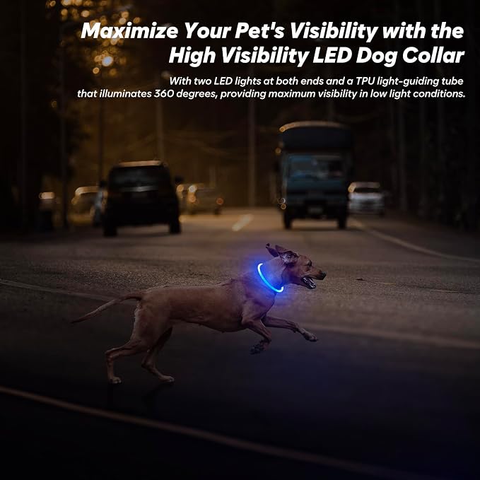 Light Up Dog Collar - 360° Visible Rainproof LED Dog Collar Rechargeable - TPU Cuttable Glowing Pet Collar for Small Medium Large Dogs - Safety Dog Lights for Night Walking& Camping (Blue 70cm) - Image 6