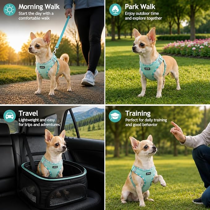 AMTOR Small Dog Harness with Leash Set, No Escape Easy Walk Puppy Harnesses for Training Walking, Step-in Reflective Soft Dogs Vest for XS S Medium Extra-Small Large Sized Dog (Light Green,S) - Image 3