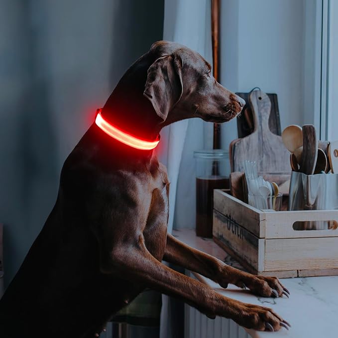 Illumifun Light Up Dog Collar - USB Rechargeable LED Dog Collar Glow in the Dark, Adjustable Pet Collar Light for Night Walking (Red, Medium) - Image 5