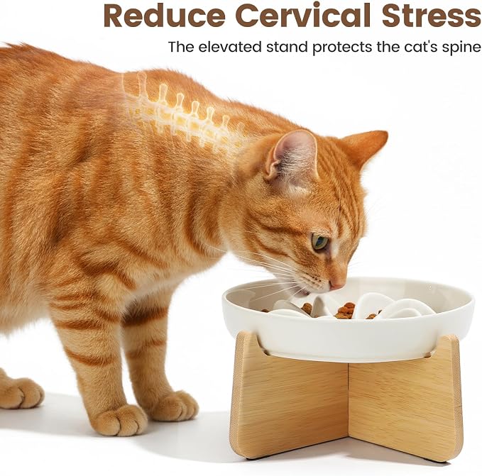 PETTOM Slow Feeder Cat Bowl with Stand, Ceramic Slow Eating Cat Bowl with Higher Edges, Elevated Cats Food Bowls for Dry and Wet Food Anti-Vomiting Puzzle Feeder for Healthy Eating Diet - Image 4