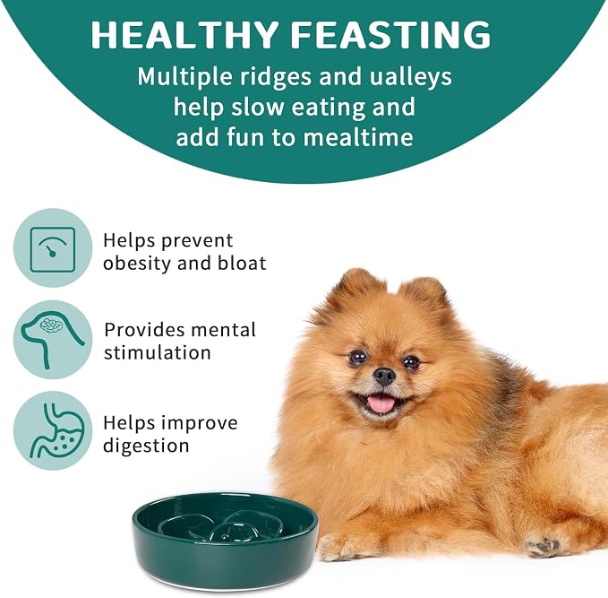 Slow Feeder Dog Bowls Small Breed, 0.6 Cup Ceramic, Non-Slip | Heavy Ceramic For Indoor Feeding, Stable Base Helps Limit Sliding, Puzzle Bowl For Small Breed Dogs - Image 3