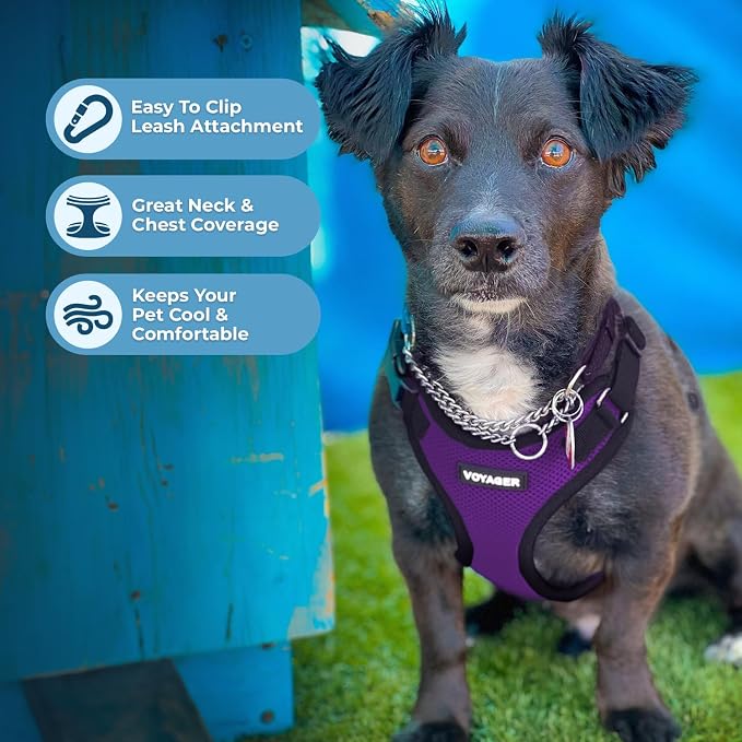 Voyager Step-in Lock Dog Harness - Purple/Black Trim, X-Large | 23 - 28" in Chest, Adjustable, Breathable Air Mesh, Lightweight for Daily Walks, Strong Clips, Heavy Duty D-Ring - Image 3