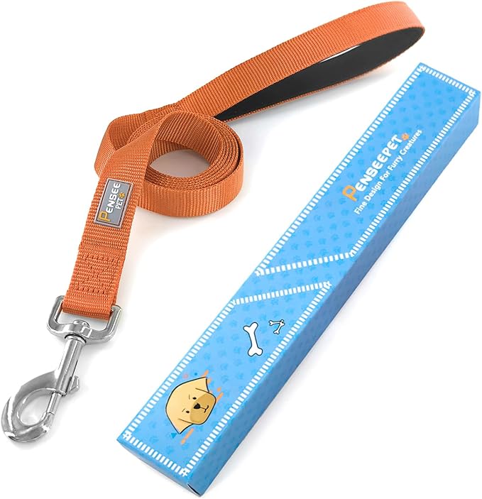6 FT Reflective Dog Leash for Small Dogs,Orange | Padded Handle,Metal D-Ring,Heavy Duty Nylon Webbing, for Walking & Training - Image 5