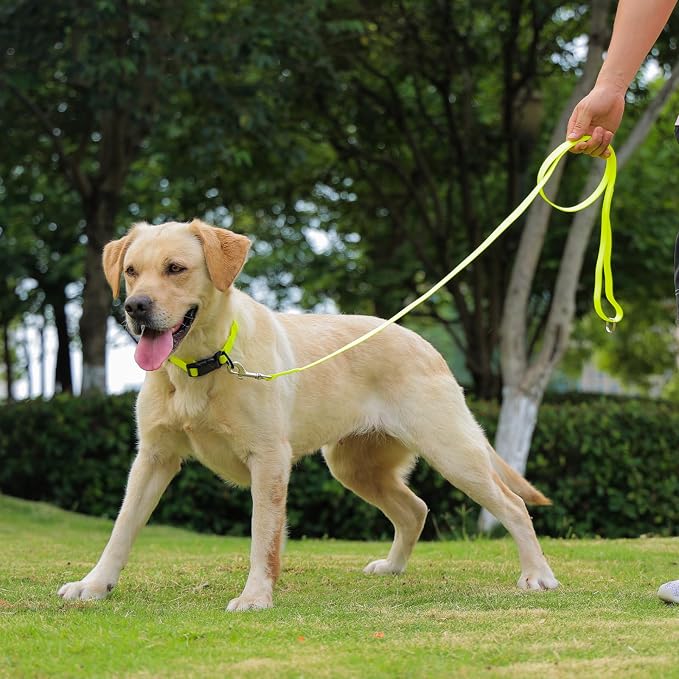 Waterproof Dog Leash, 5/6 FT Durable Odor-Proof Dog Leashes with Strong Metal Hooks Fits Small Medium or Large Dogs (Yellow, 6FT - 1 inch Width) - Image 6