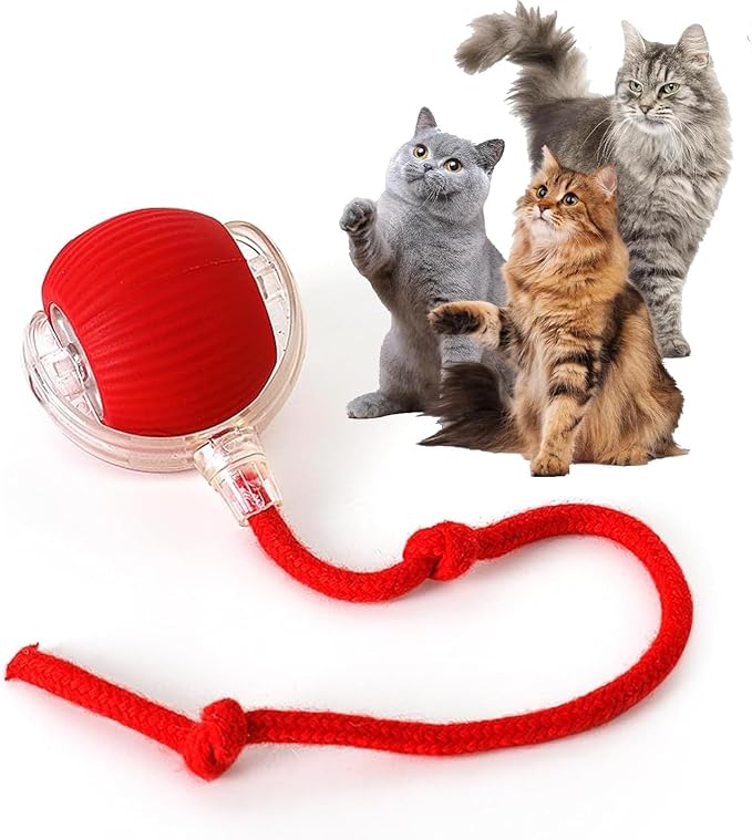 Rocfish Durable Interactive Cat Toys for Indoor Cats (red, 01) | Smart Automatic Cat Chase Ball Toy, Upgraded Speedy Tail Kitten Toy for Bored Indoor Adult Pets by Unknown