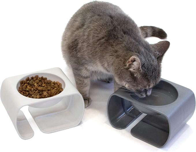 Kitty City Raised Cat Food Bowl Collection/Stress Free Pet Feeder and Waterer and Slow Feed Bowls - Image 3
