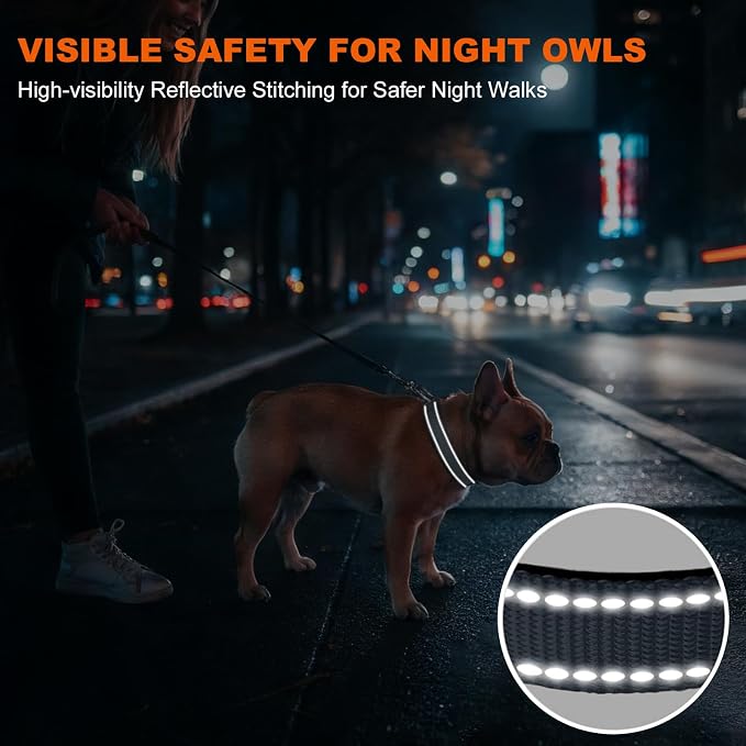 Taglory Reflective Small Dog Collar, Comfortable for Safe Night Walks, Grey | Night-Walk Visibility, Soft Neck Cushioning, Adjustable 10-16 in, Locking Buckle, D-Ring for Leash and ID Tags - Image 5
