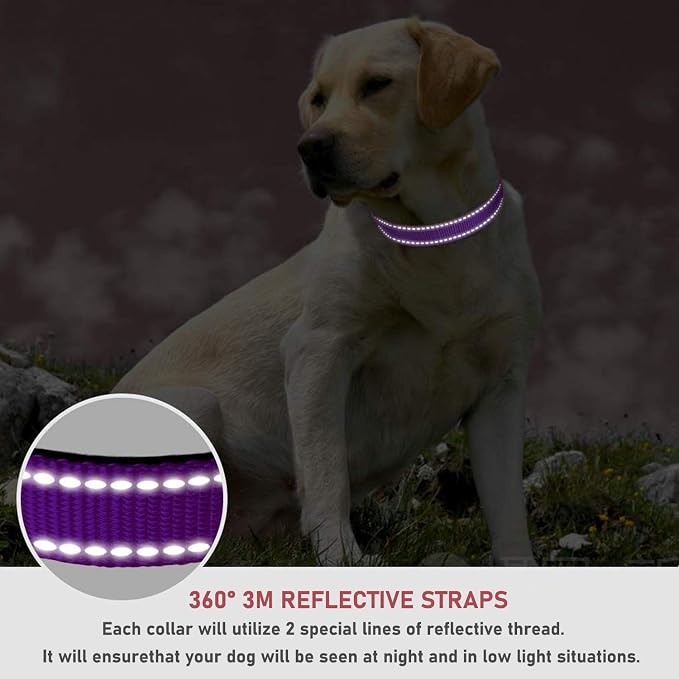Reflective Dog Collar, Puppy Collar with Buckle Adjustable, Purple L | Breathable Nylon Collars for Small Medium Large Dogs, No Chafing on Walks and Outdoor Hikes, Metal D-Ring, Night Safety - Image 4