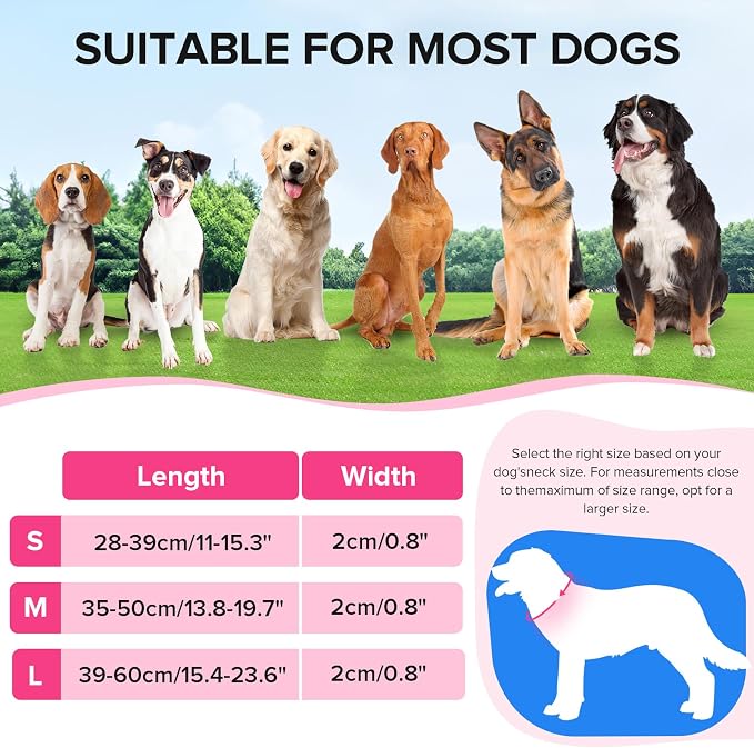 LED Dog Collar, Light Up Dog Collar USB-C Rechargeable Waterproof | 360° Visibility Light Up Dog Collar, Adjustable Nylon Collar with 3 Modes for Small Medium Large Dogs Night Walk Pink L - Image 5