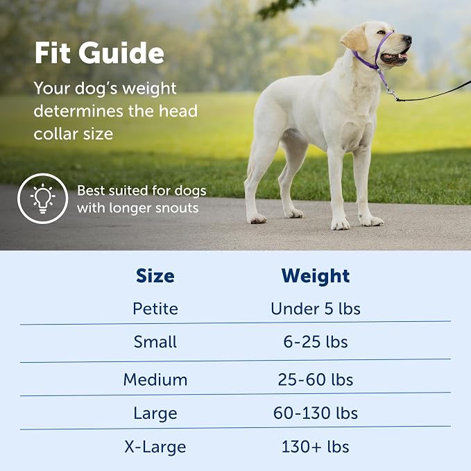 PetSafe Gentle Leader No-Pull Dog Headcollar - The Ultimate Solution to Pulling - Redirects Your Dog's Pulling for Easier Walks - Helps You Regain Control - Large, Charcoal (Pack of 6) - Image 5