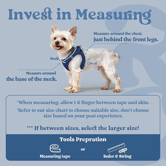 rabbitgoo Step-in Small Dog Harness, Puppy Vest for Small Sized Pet | Easy Put on and off, Lightweight, Soft, Breathable Quick-Dry Air Mesh for Comfortable Secure Walking, Navy Blue S - Image 2