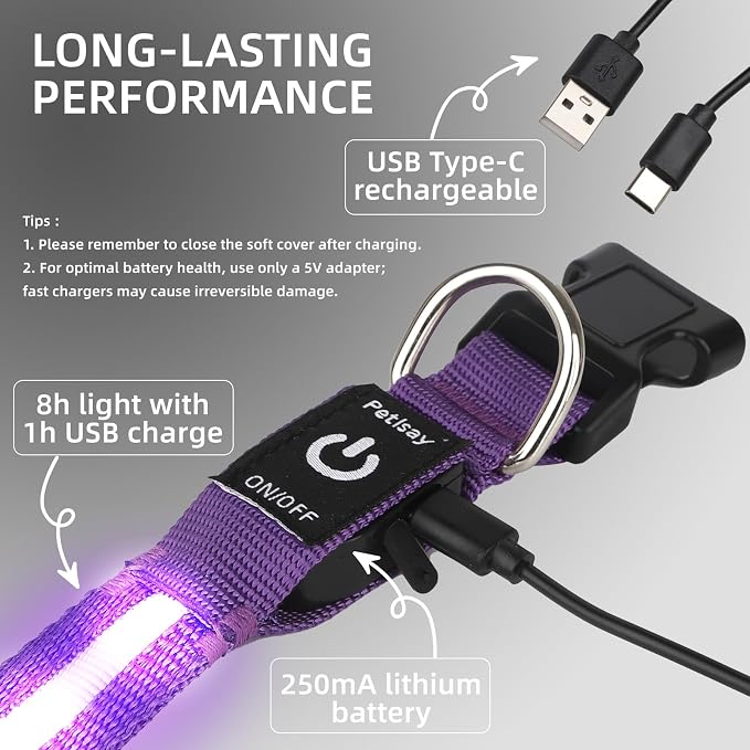 Super Bright LED Dog Collar, Waterproof Light up Collars(Purple, X-Small) | Lighted Dog Collar with Adjustable Fit, Soft Nylon Comfort, USB-C Rechargeable, Glow in the Dark Visibility for Night Walks - Image 6