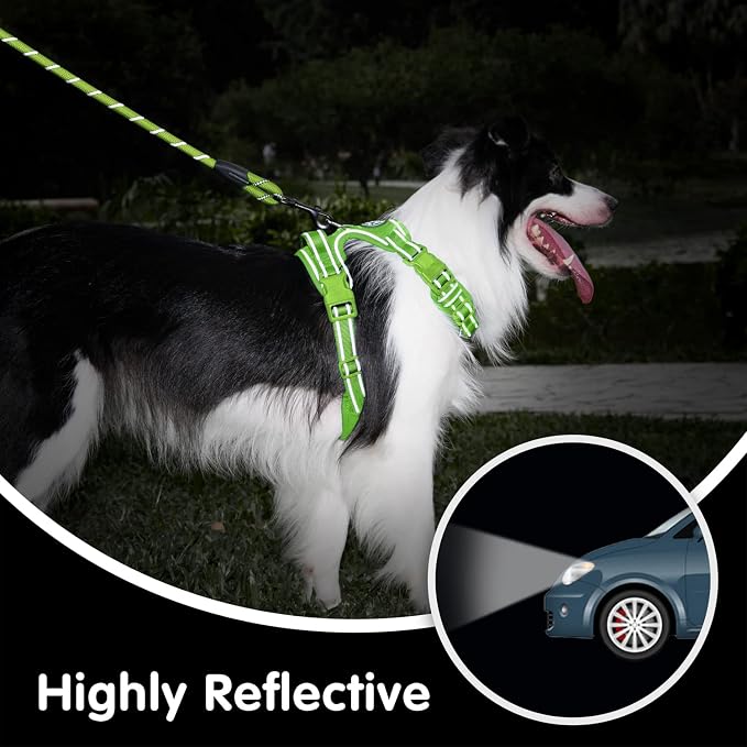 PoyPet Dog Harness and Leash Set, No Pull Vest with Front Clip and Handle | Escape Proof, Reflective, 3 Buckles, 2 D-rings, Adjustable, Soft Padded, 5 Feet Leash, for Walking Training, Green, M - Image 7