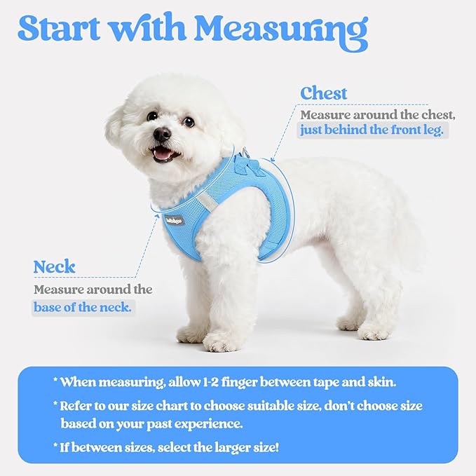 rabbitgoo Dog Harness Medium Sized and Leash Set, Step-in Puppy Pet Vest | Light, Soft, Breathable Air Mesh, Easy on and Remove with Hook & Loop, Secure Reflective for Walking, Blue XXL - Image 2