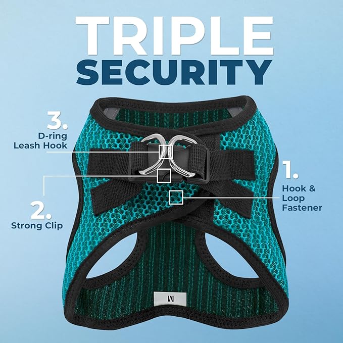 Voyager Step-in Air Dog Harness - All Weather Mesh, Reflective, No Pull Harness for Small, Medium Dogs, Cats - Secure with Hook & Loop Fastener, Buckle, Double D-Rings - Turquoise 2-Tone, XS - Image 2
