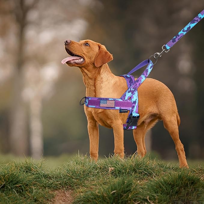 Annchwool No Pull Dog Harness with Soft Padded Handle,Escape Proof and Quick Fit to Adjust Dog Harness,Easy for Training Walking for Small & Medium and Large Dogs(Camo Purple,L) - Image 6