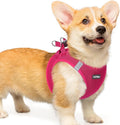 rabbitgoo Step-in Small Dog Harness, Puppy Vest for Small Medium Sized Pet | Easy Put on and off, Lightweight, Soft, Breathable Quick-Dry Air Mesh for Comfortable Secure Walking, Rose Red L by rabbitgoo