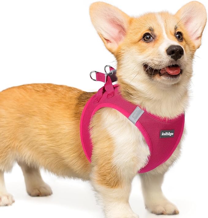 rabbitgoo Step-in Small Dog Harness, Puppy Vest for Small Medium Sized Pet | Easy Put on and off, Lightweight, Soft, Breathable Quick-Dry Air Mesh for Comfortable Secure Walking, Rose Red L by rabbitgoo