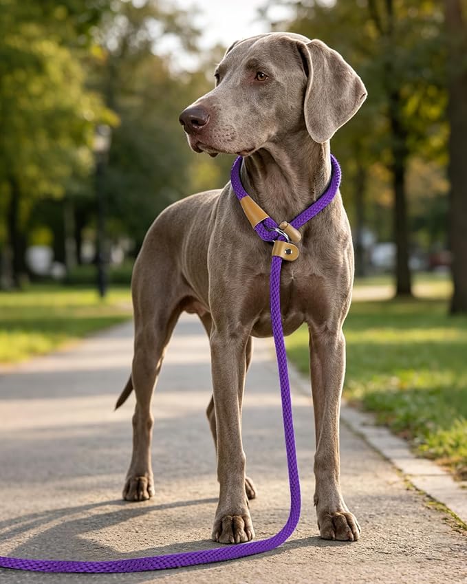 Dog Leash Slip Lead Braided Rope Pet Training Loop Leashes 5ft 6ft 8ft | Lynxking Strong Heavy Duty 1/2" 3/8", Durable Padded Handle No Pull Basic Training Nylon Lead,Small Medium Large Dogs Puppy - Image 8