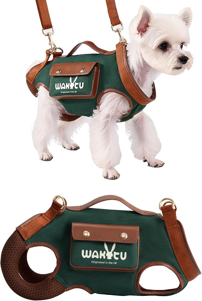 Wakytu Dog Lift Harness Dog Carrier Sling for Small Dogs & Cats,S | stylish puppy sling carrier with handle & pocket,adjustable leash,walking & travel by Petshome