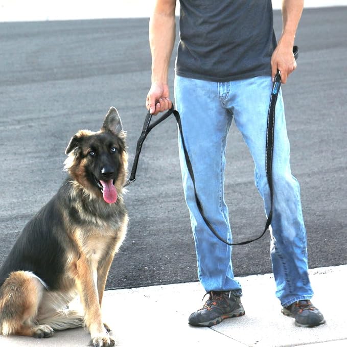 Max and Neo Double Handle Traffic Dog Leash - Reflective, Donates to Dog Rescue (Black, 6 FT) - Image 2