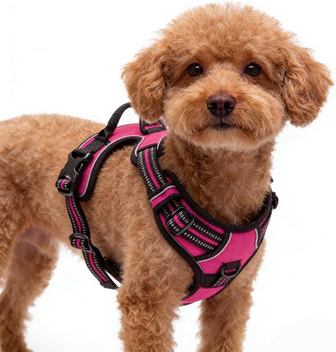 Hot Pink No-Pull Dog Harness with 2 Leash Clips，Soft Padded Vest for Medium Dog, Adjustable Reflective Dog Vest Easy to Put on and Take Off, (Neck: 14"~20", Chest: 21"~27", Hot Pink M) by Unknown