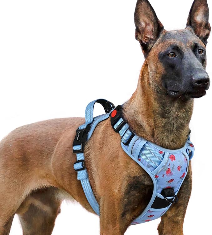 rabbitgoo Dog Harness for Large, Updated Easy On & Off with 3 Buckles | No Pull No Choke, Walking with 2 Clips and Handle, Adjustable Soft Reflective, Floral Blue, X-large by rabbitgoo