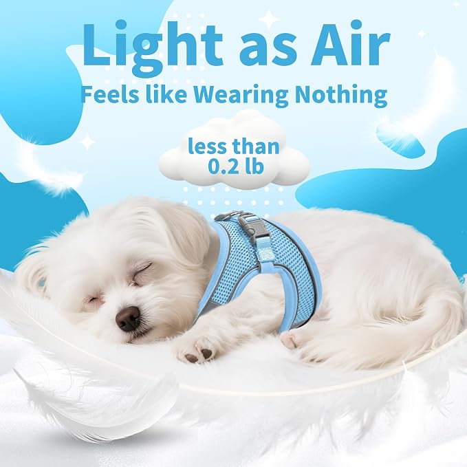 AIITLE Dog Harness and Leash Set, Step-in Puppy Pet Vest, Pure Blue XXS | Breathable Mesh, Adjustable Fit, Reflective Design, Padded Leash Handle, for Small-Medium Dogs & Cats, Walking, Training - Image 5