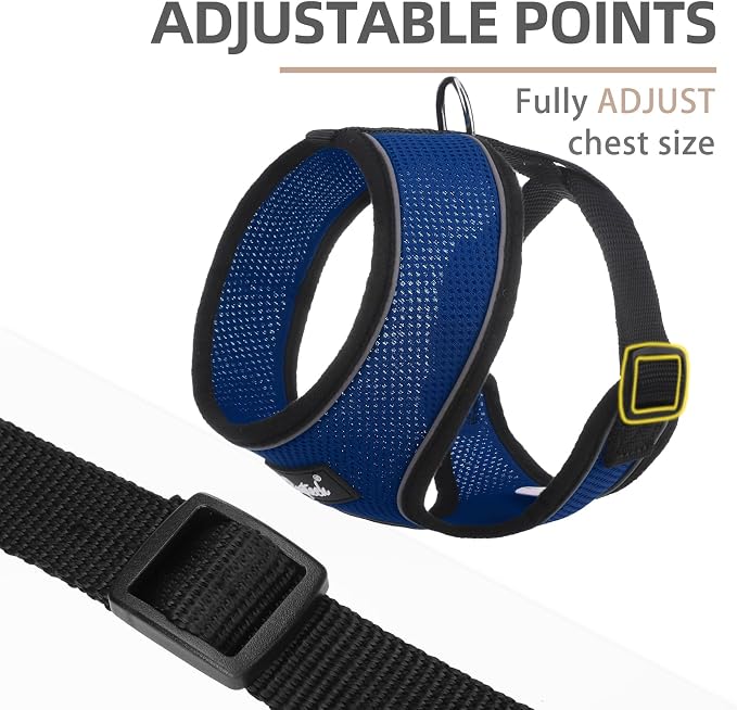PUPTECK Small Dog Harness and Leash Set No Pull for XS XXS Sized Dogs Puppy | Escape Proof No Choke Pet Cat Adjustable Soft Padded Walking Vest - Image 3