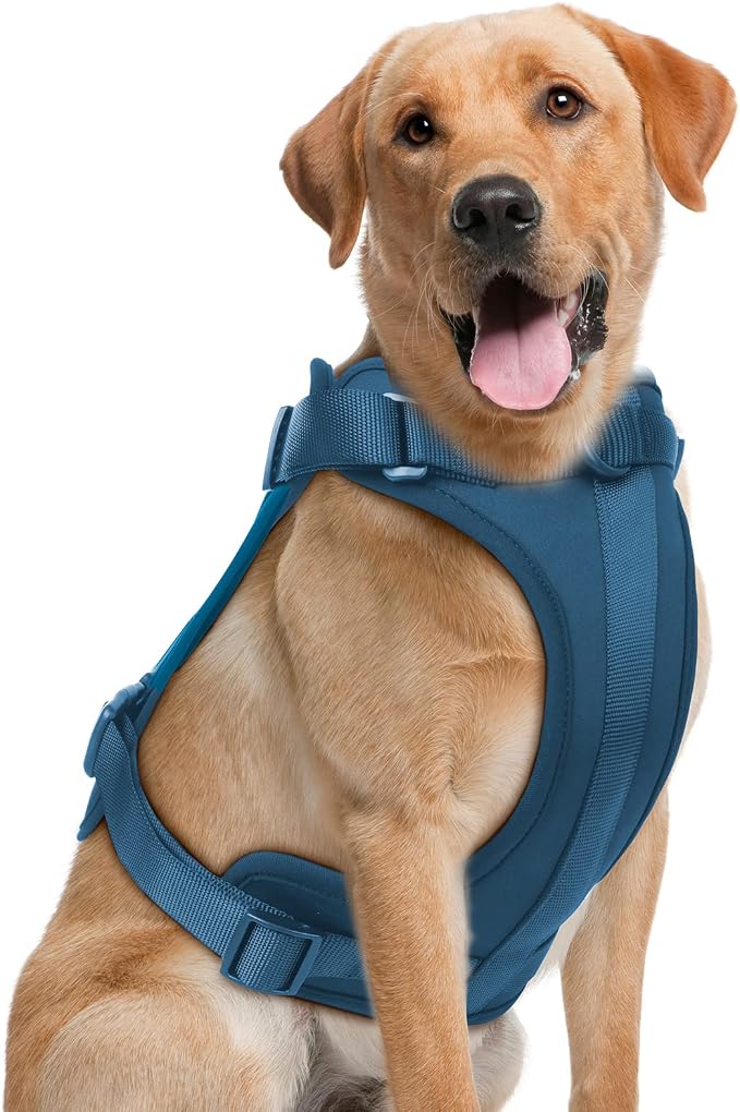 Wisedog Lightweight No Pull Dog Harness, Navy, Large | Air Mesh, 3 Clips, Adjustable, No Choke Design, Ideal for Walking Training by WisedogPetSupplies