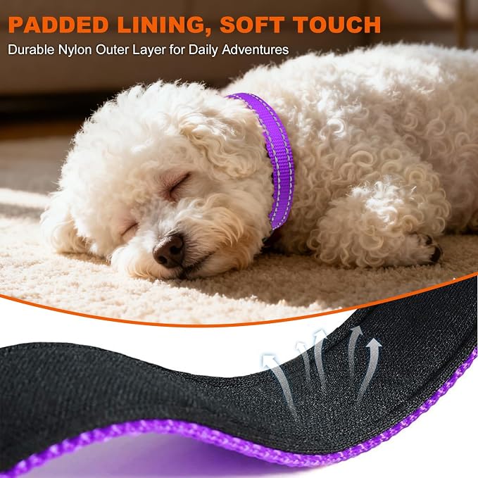 Taglory Reflective Dog Collar for Puppies, Gentle and Safe for Night Walks | Night-Walk Visibility, Soft Neck Cushioning, Adjustable 8-12 in, Locking Buckle, D-Ring for Leash and ID Tags - Image 4