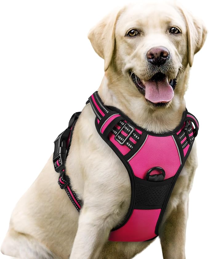 rabbitgoo Dog Harness, No Pull for Large Dogs with 2 Leash Clips, Pet Vest | No Choke with Handle, Adjustable Soft Padded, Reflective, Easy Control for Walking, Hot Pink, Large by rabbitgoo