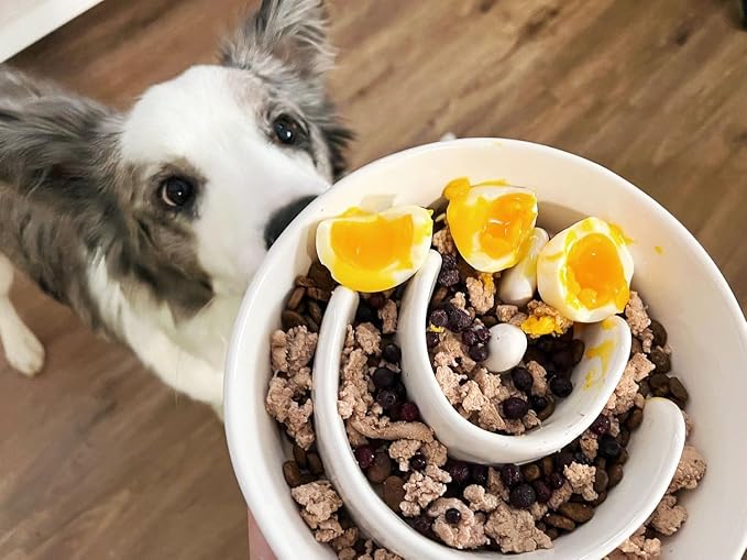 LE TAUCI PET Ceramic Slow Feeder Dog Bowls Elevated, 3 Cups Raised Dog Bowl with Wooden Stand for Medium Large Breed to Slow Down Eating, Puzzle Food Bowl,White - Image 5