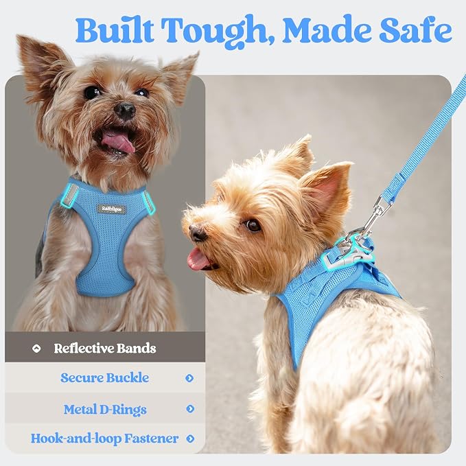 rabbitgoo Dog Harness Small Sized and Leash Set, Step-in Puppy Pet Vest | Light, Soft, Breathable Air Mesh, Easy on and Remove with Hook & Loop, Secure Reflective for Walking, Blue XXS - Image 8